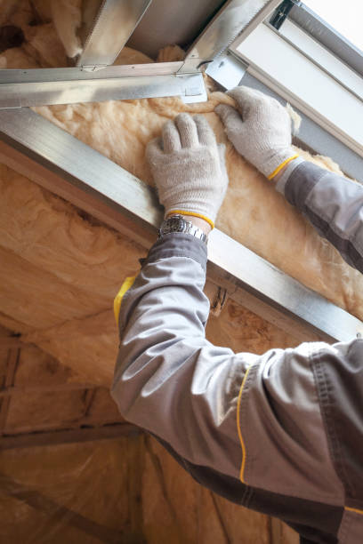 Best Insulation Maintenance and Repair in Mebane, NC